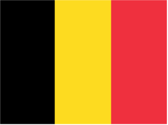 Belgium (Brussels Capital Region) - Overview of the policy framework